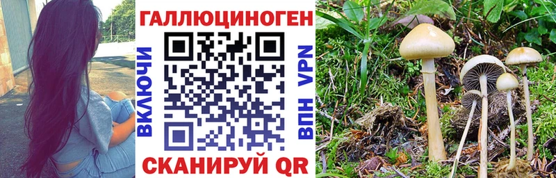 Псилоцибиновые грибы Magic Shrooms Сосенский